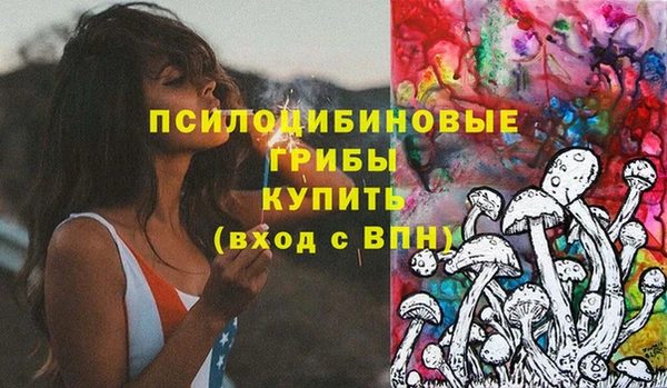 МДПВ Пестово