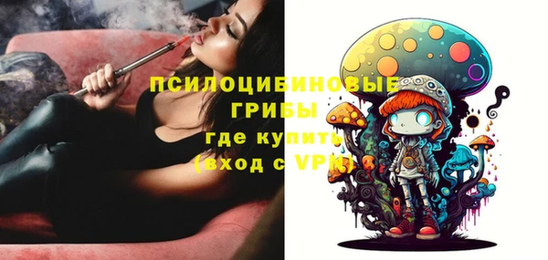 ALPHA PVP Богданович